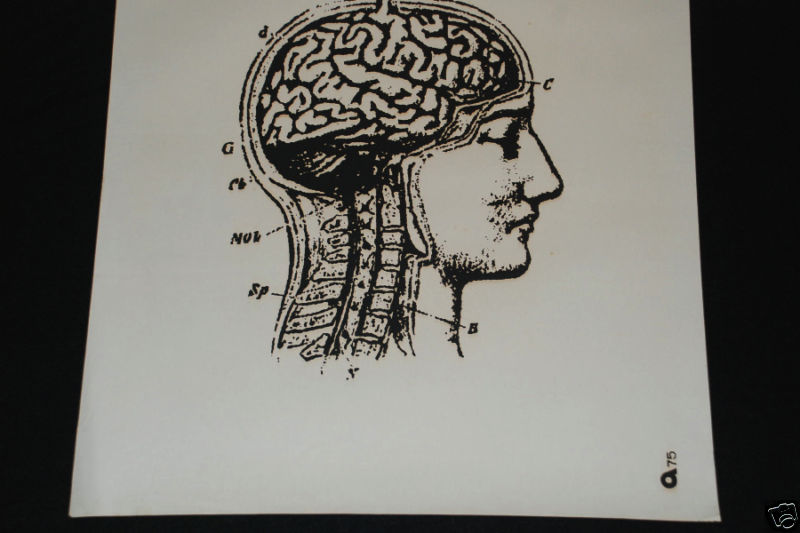 1975 Original Cuban Silkscreen Movie Poster"The Spiderweb"Cerebral.Brainy.Mint