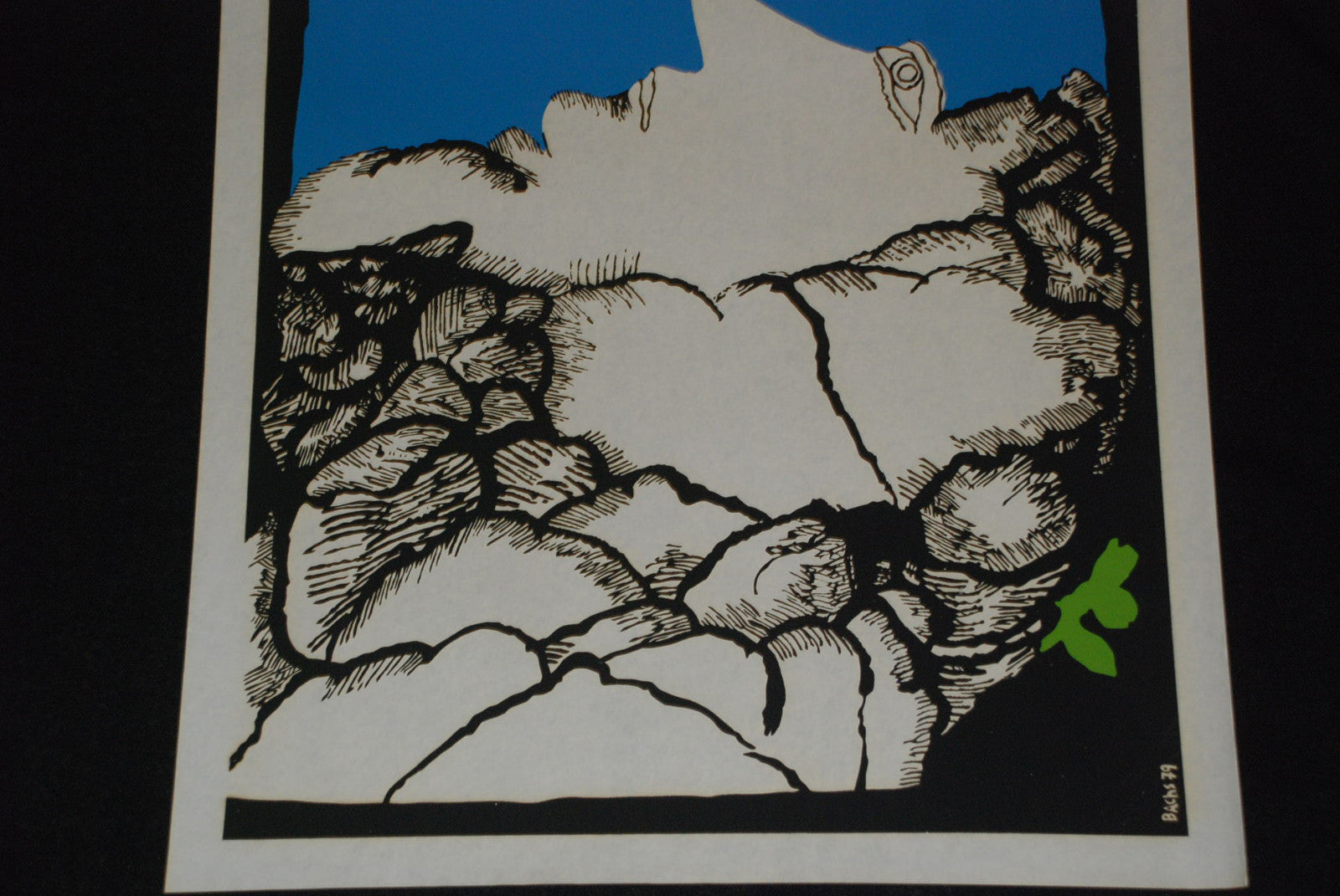 1979 Cuban ORIGINAL Movie Poster"Growing on rocks"Brain cerebral art.Authentic.