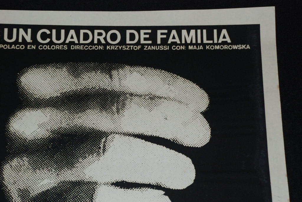 1976 Original Movie Poster"Family Picture"Polish Poland Krzysztof Zanussi art