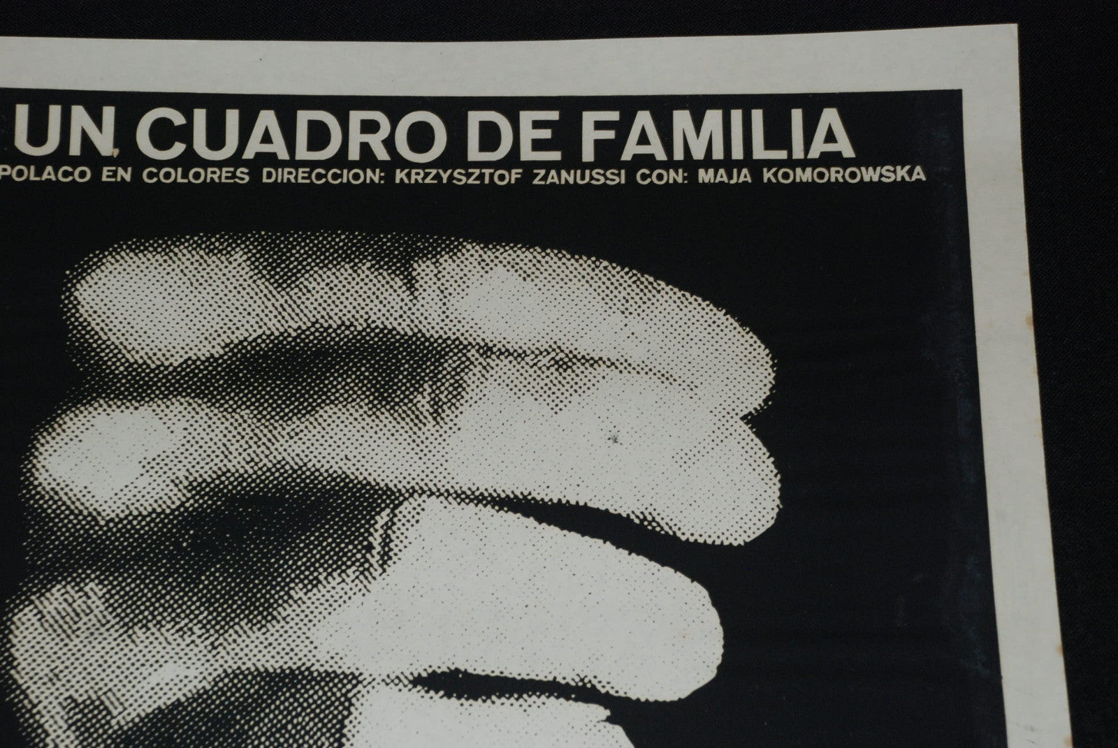1976 Original Movie Poster"Family Picture"Polish Poland Krzysztof Zanussi art