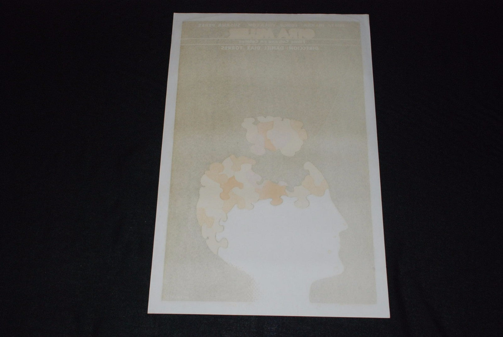 1987 Original Cuban Movie Poster.Plakat.Otra mujer"Another Woman"Puzzle.Mint art