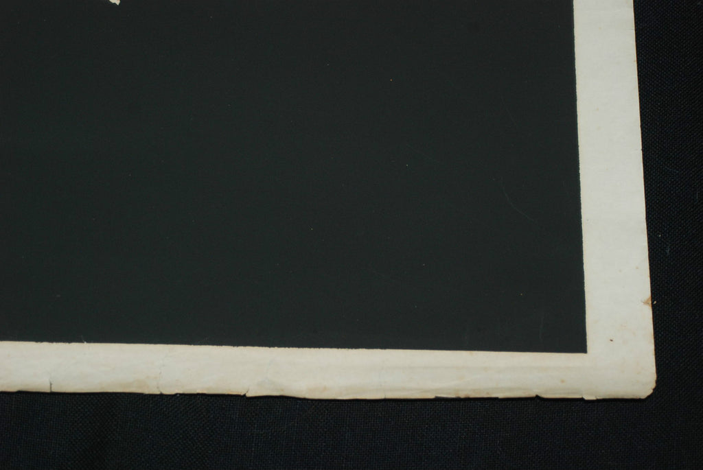 1975 Original Cuban Silkscreen Movie Poster.Trees with no Root.Bulgaria art film