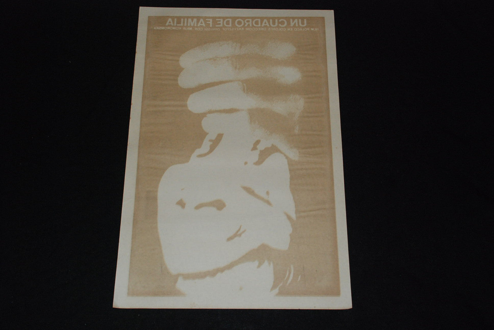 1976 Original Movie Poster"Family Picture"Polish Poland Krzysztof Zanussi art