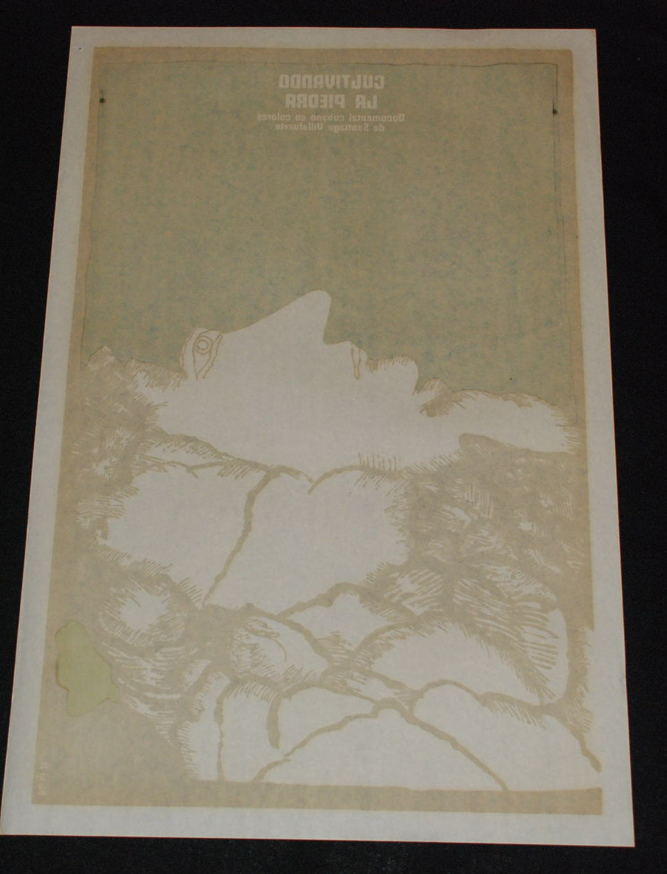 1979 Cuban ORIGINAL Movie Poster"Growing on rocks"Brain cerebral art.Authentic.