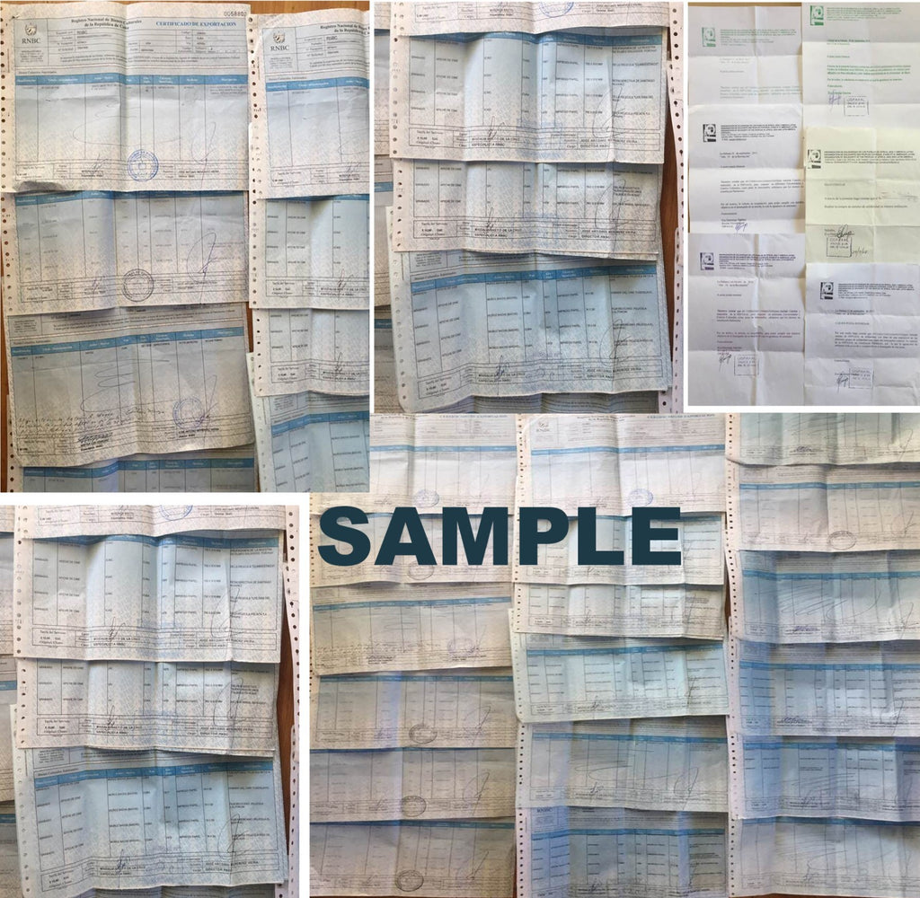 1967 Original Cuba Political Poster.Cold War Graphic art.Marche de Geants.French
